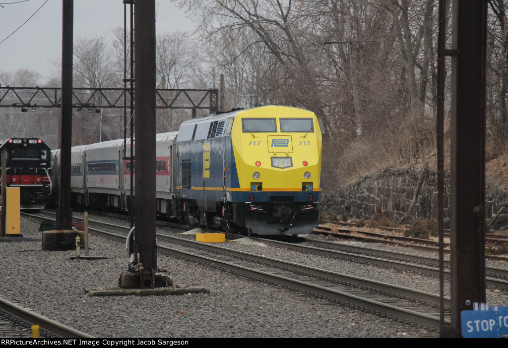 MNCR217